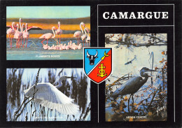 13-CAMARGUE-N°T2679-A/0307 - Other & Unclassified