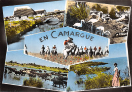 13-CAMARGUE FOLKLORE GARDIANS-N°T2679-A/0299 - Other & Unclassified