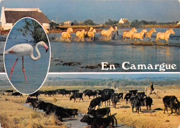 13-CAMARGUE FOLKLORE GARDIANS-N°T2679-A/0283 - Other & Unclassified