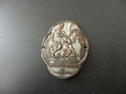 Medaille Medal - Deutschland Germany - Der Rathausesel Zu Dresden - Sonstige & Ohne Zuordnung