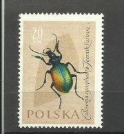 POLAND  1961 - INSECTS,  MNH - Unused Stamps