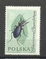 POLAND  1961 - INSECTS,  MNH - Ongebruikt