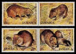 0161- JAMAICA - 1981 - MNH - FAUNA - INDIAN CONEY HUTTA - Jamaique (1962-...)