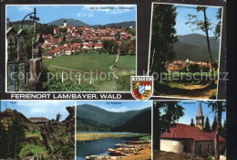 72525273 Lam Oberpfalz Totenbretter Hohenbogen Kaltersbach Osser Kl Arbersee Mar - Other & Unclassified