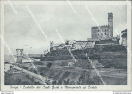 An668 Cartolina Poppi Castello Dei Conti Guidi E Monumenti Ai Caduti Arezzo - Arezzo