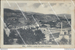 Bg228 Cartolina Stia Lanificio E Veduta Del Castello Di Palagio Arezzo 1934 - Arezzo
