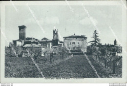 An587 Cartolina Morciano Della Chiana Panorama Provincia Di Arezzo - Arezzo