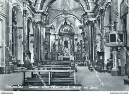 Br154 Cartolina Sansepolcro Interno Della Chiesa Di S.maria Dei Sogni Arezzo - Arezzo