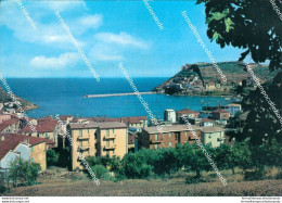 Br386 Cartolina Porto Ercole Panorama  Provincia Di  Grosseto Toscana - Grosseto