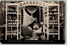 13511711 - Barbados - Barbados (Barbuda)