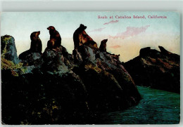 39271711 - Seals Catalina Island California - Autres & Non Classés