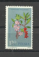 POLAND  1962 - FLOWERS  MNH - Ungebraucht