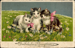 CPA Glückwunsch Pfingsten, Drei Katzen, Blumenwiese - Pfingsten