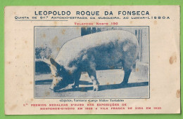 Lisboa - Leopoldo Roque Da Fonseca - Comercial - Publicidade - Portugal (danificado) - Lisboa