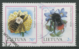 Litauen 1999 Gefährdete Insekten: Hosenbiene, Hummel 698/99 Gestempelt - Lituania