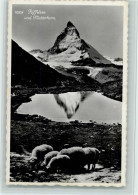 11060111 - Matterhorn VS - Other & Unclassified