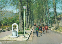 Cr502 Cartolina Mercogliano Viale S.modestino Provincia Di Avellino Campania - Avellino
