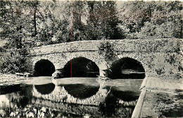 77* FAREMOUTIERS Pont Gallo Romain   (CPSM 9x14cm)          RL08.0504 - Faremoutiers