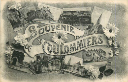 77* COULOMMIERS   Souvenir  Multivues       RL08.0307 - Coulommiers