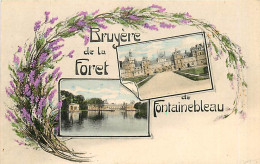 77* FONTAINEBLEAU Bruyere De La Foret            RL08.0249 - Fontainebleau