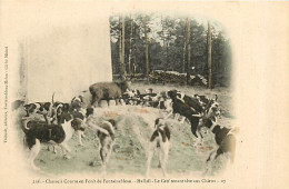 77* FONTAINEBLEAU Chasse A Courre  Hallali         RL08.0244 - Hunting
