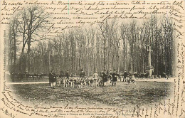 77* FONTAINEBLEAU Chasse A Courre  Le RDV      RL08.0246 - Jacht