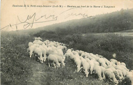 77* TANQUEUX  Moutons En Bord De Marne          RL08.0210 - Elevage
