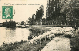 77* TRILPORT Moutons Au Paturage  RL08.0203 - Veeteelt