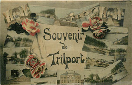 77* TRILPORT  Souvenir  Multivues RL08.0182 - Autres & Non Classés