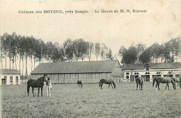 77* MOYEUX  Chateau  Le Hars Rigaud          RL08.1005 - Viehzucht