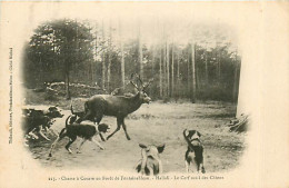 77* FONTAINEBLEAU Chasse A Courre  Cerf Et Chiens      RL08.0636 - Hunting