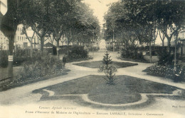 11 - Carcassonne - Concours Agricole 1910 - Prime D'honneur Du Ministre Agriculture - Edouard Lassalle - Horticulteur - Carcassonne