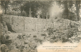 78* MONTFORT L AMAURY Ruines Crypte Chapelle       RL09.0067 - Montfort L'Amaury