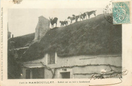 78* RAMBOUILLET Chasse A Courre -  Hallali Sur Toit A Gambaiseul       RL09.0057 - Hunting