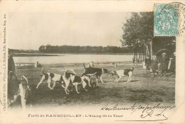 78* RAMBOUILLET Chasse A Courre  Etang De La Tour        RL09.0055 - Hunting