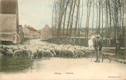 77* CLAYE   Voisin  Moutons           RL08.1163 - Elevage