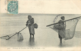 80* SOMME  Pecheuses Crevettes Baie De Lotie       RL09.0455 - Fischerei