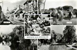 89* BRIENON SUR ARMANCON  Multivues   (CPSM 9x14cm)        RL09.1314 - Brienon Sur Armancon