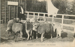 94* NOGENT Jardin Colonial  Moutons         RL10.1058 - Nogent Sur Marne