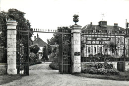 45* BOISMORAND  Chateau De Cormont (CPSM 9x14cm)      RL11.0227 - Autres & Non Classés