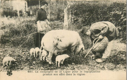 PAYSANS  Ligue Pour La Repopulation  Cochons  Truffiers   RL11.0355 - Campesinos