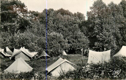 62* STELLA PLAGE  Camp Des Campeurs CPSM (9x14cm)     RL12.0128 - Other & Unclassified