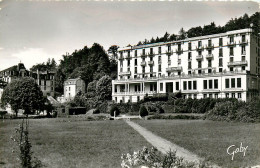 61* TESSE LA MADELEINE Hotel Du Parc  (CPSM 9x14cm)      RL11.1289 - Autres & Non Classés