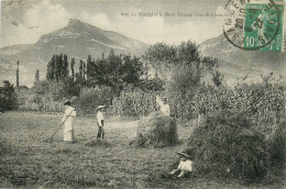 73* LE NIVOLET Et Mont Pennay    Fenaison     RL12.0813 - Cultivation