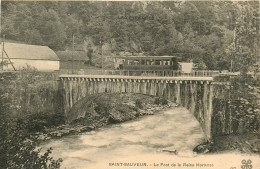 65* ST SAUVEUR  Pont De La Reine Hortense    RL12.0433 - Luz Saint Sauveur