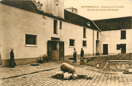 77* HAUTEFEUILLE Domaine Tournelles  La Ferme  Porcs      RL12.1221 - Granja