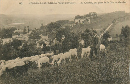 76* ARQUES LA BATAILLE Moutons Au Paturage     RL12.1048 - Veeteelt