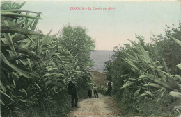 83* COGOLIN Le Chemin Des Aloes      RL13.0418 - Cogolin