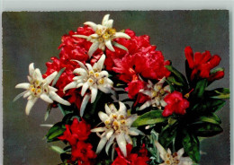 40147011 - Blumen In Vasen / Blumenvasen Edelweiss Und - Autres & Non Classés