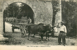 AGRICULTURE  Attelage De Bufs Dans Les Alpes     RL12.1465 - Wagengespanne